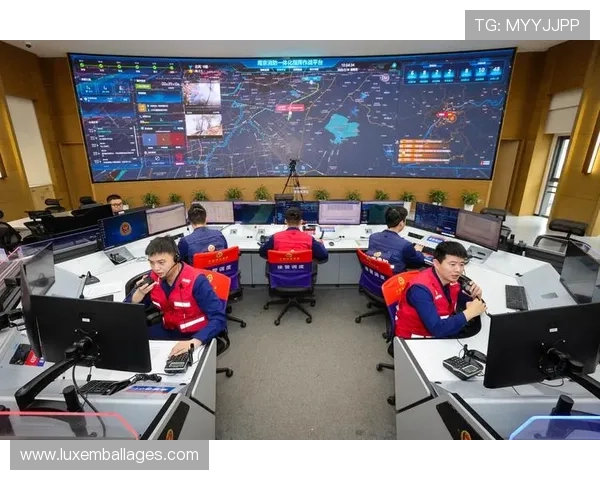 真人现场版龙虎游戏全新上线，带你体验最真实的激烈对战场景